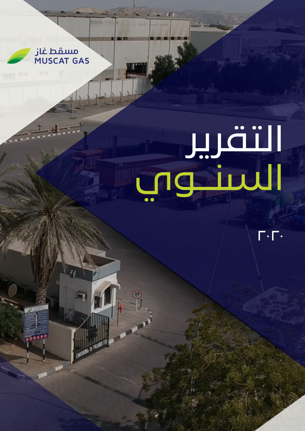 Annual Report for the year 2020